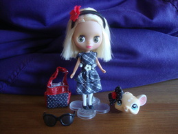 Littlest Pet Shop Blythe Doll Set Outdoor Afternoon